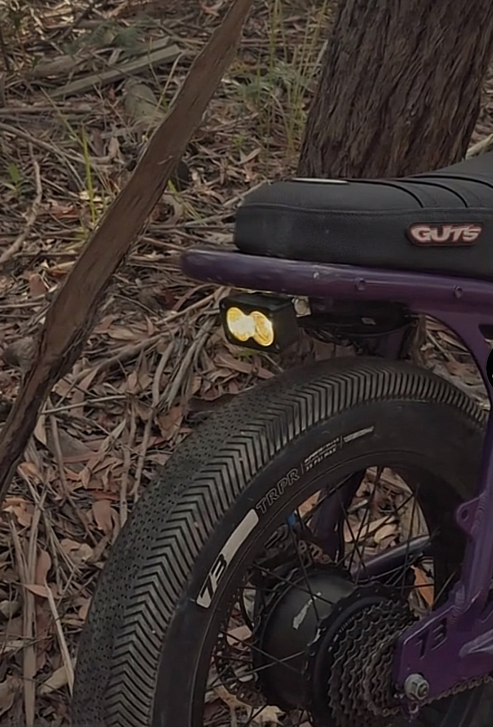79Bike Baja (TAILIGHT) BLINDER